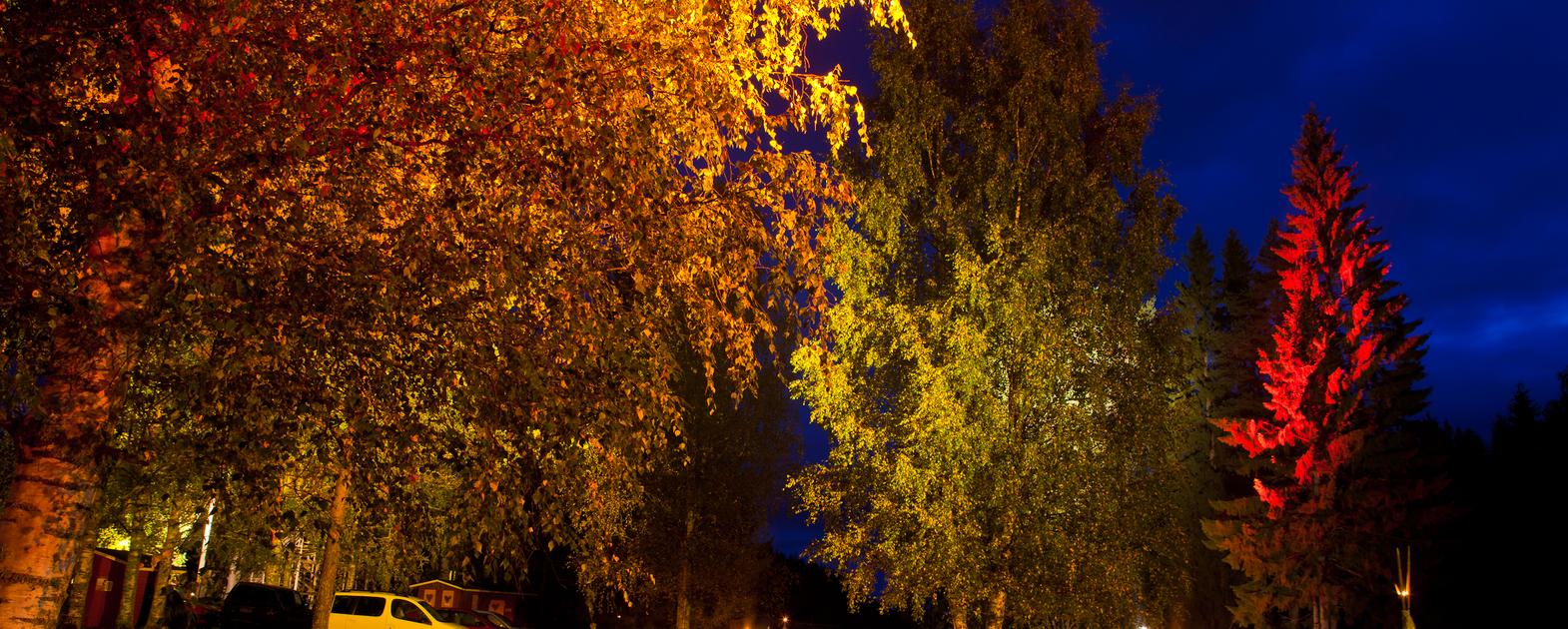 Valon Y&ouml;n juliste