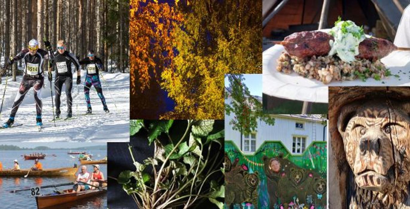 Ilomantsin tapahtuman kuvakokoelma