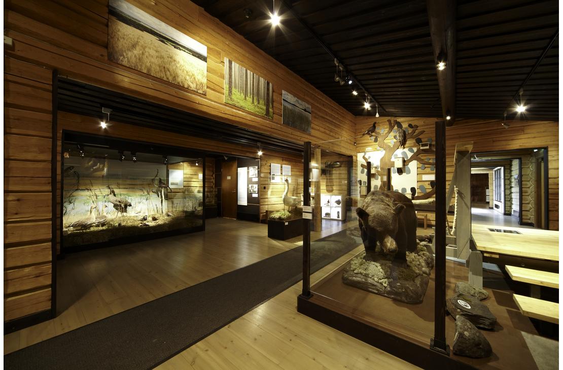 Exhibition at Mesikk&auml; Animal Museum